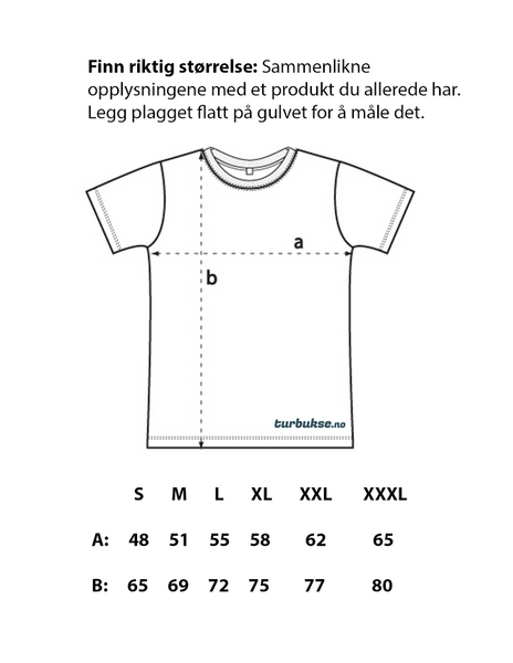 Hovedbilde Artic North Streken 1 Blue T-skjorte herre
